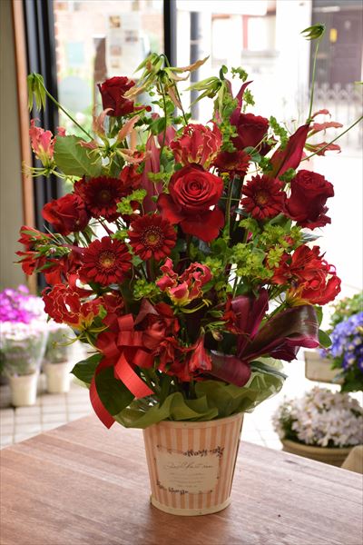 「赤いお花でまとめてください。」<br><br>そんなご要望をいただいた事務所移転御祝いのアレンジメントです。<br>存在感のある大輪のバラをメインにして、グロリオサ、ガーベラ、アルストロメリアなどの赤系のお花をふんだんに使ってみました。<br><br>グリーンの小花「ブプレリュウム」を散らして、ナチュラル感をだしています。